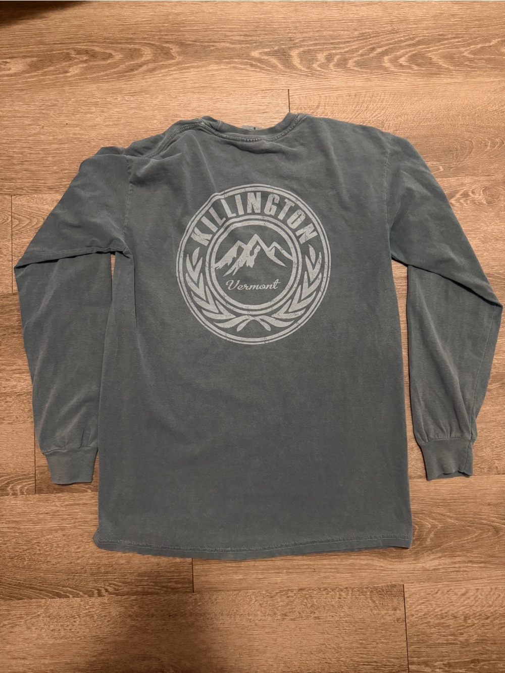 Comfort Colors Long-Sleeve Tee in Green - Picture 2 of 5
